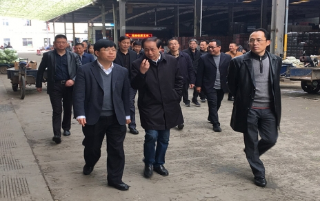2017年3月16日下午，嘉興市委常委、常務(wù)副市長(zhǎng)樓建明帶領(lǐng)市級(jí)相關(guān)部門負(fù)責(zé)人視察嘉興蔬菜批發(fā)市場(chǎng)