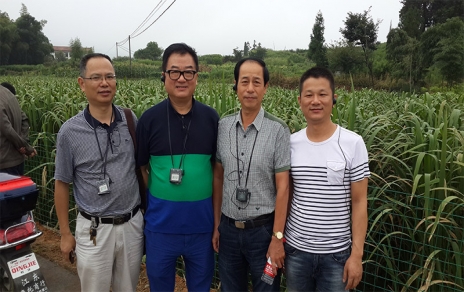 2014年8月，中國(guó)蔬菜流通協(xié)會(huì)會(huì)長(zhǎng)戴中久與公司、市場(chǎng)領(lǐng)導(dǎo)一起考察蔬菜基地