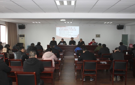 履行“兩會”職責(zé)、促進企業(yè)發(fā)展