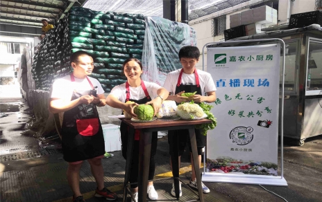 創(chuàng)意直播帶貨,本期專欄：蘭州高原夏菜！