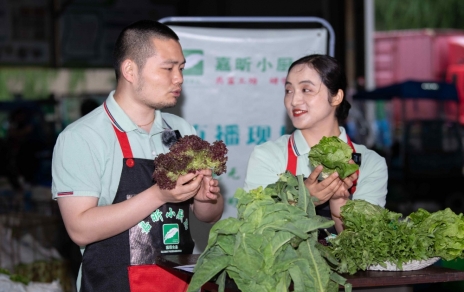 千金如玉，一口清心--生菜?油麥菜?萵筍直播專場